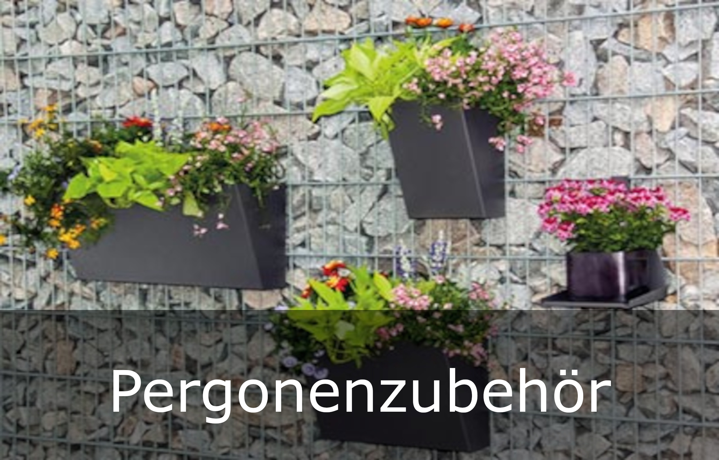 Pergone® Anfangs-/Grundelement B254xH203x23cm