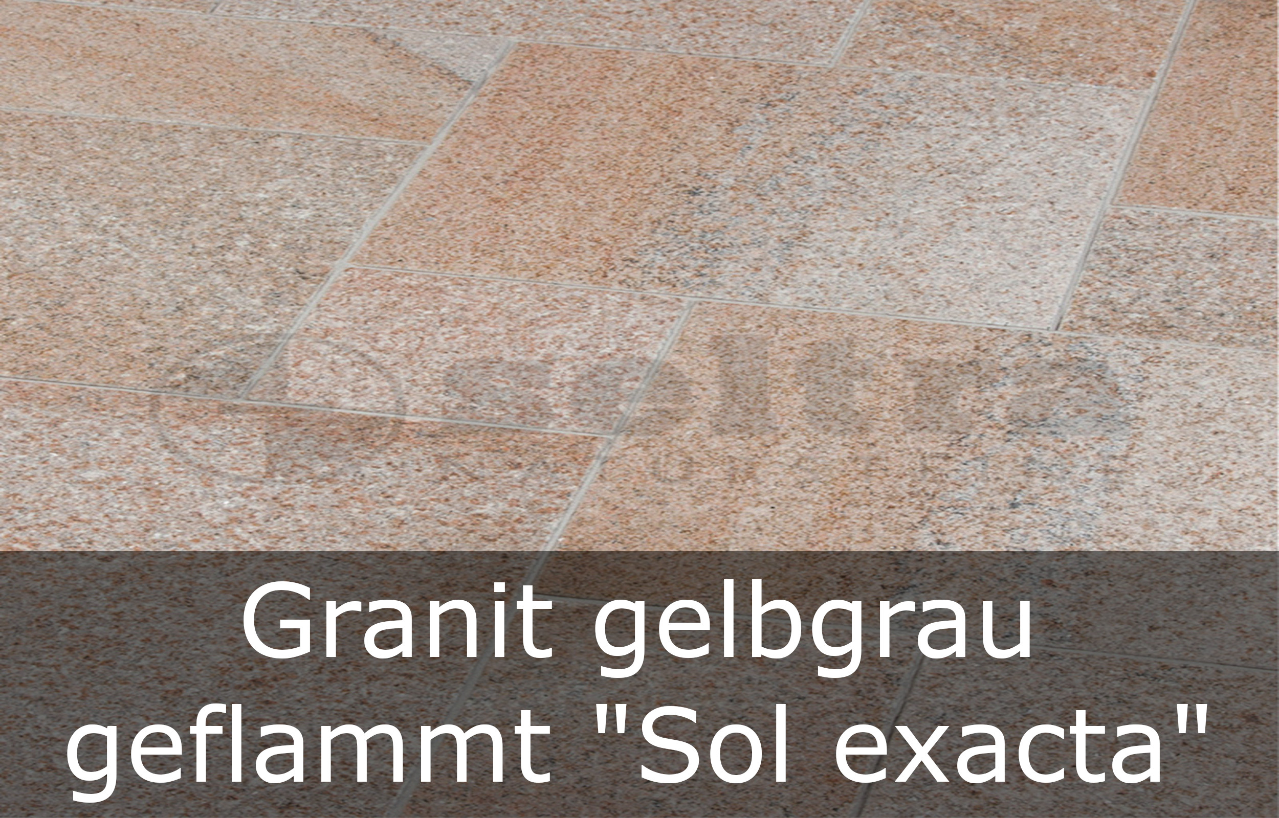 Terrassenplatten 40x40x3cm G654 Granitplatten,dunkelgrau Naturstein,Granit 